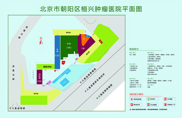 鸡巴操小骚逼北京市朝阳区桓兴肿瘤医院平面图